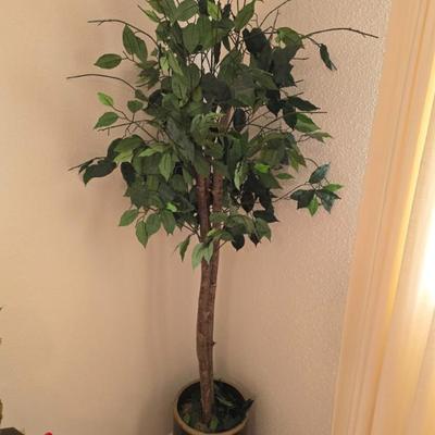 Sale Photo Thumbnail #156