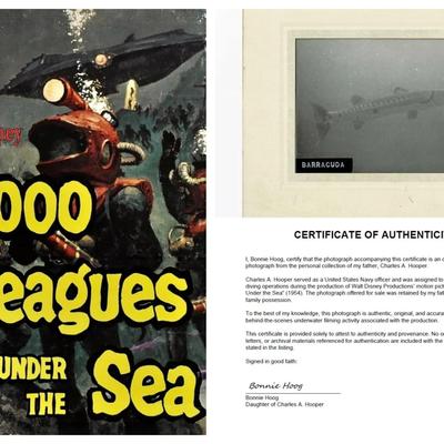 Disney'S 20,000 Leagues Under The Sea – Original 1954 Underwater Photo: Barracuda
