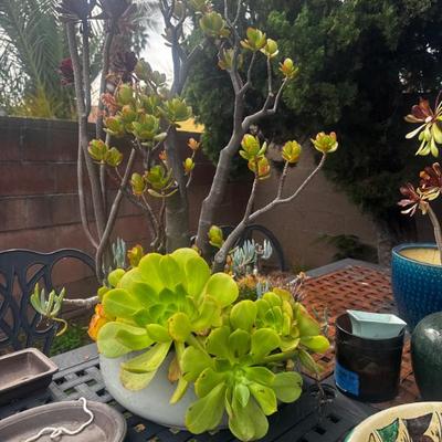 Sale Photo Thumbnail #21