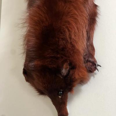 Sale Photo Thumbnail #112