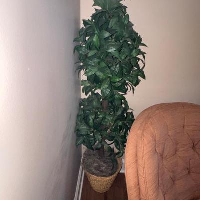 Sale Photo Thumbnail #39