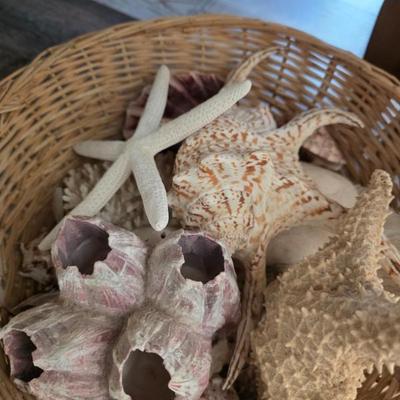 Sale Photo Thumbnail #23