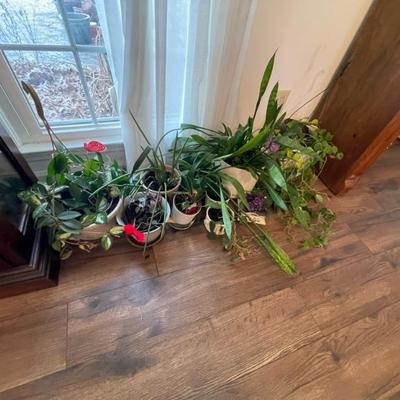 Sale Photo Thumbnail #36