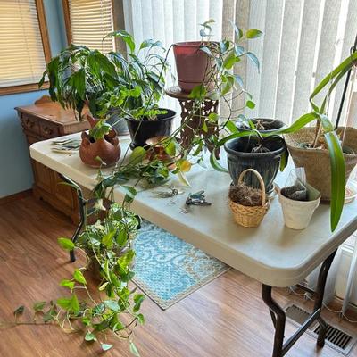 Sale Photo Thumbnail #43