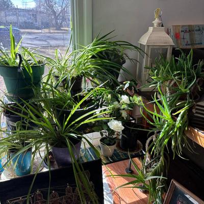 Sale Photo Thumbnail #59