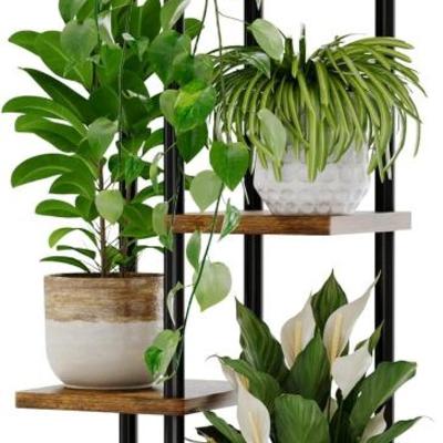 Sale Photo Thumbnail #106