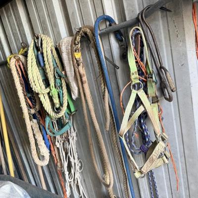 Sale Photo Thumbnail #358