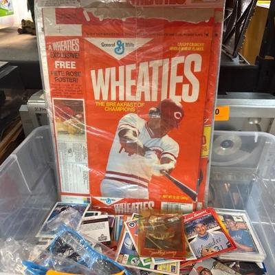 Sale Photo Thumbnail #306