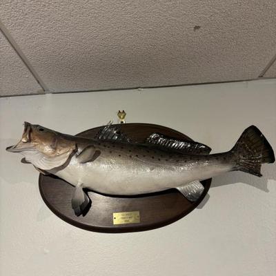 Sale Photo Thumbnail #35