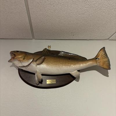 Sale Photo Thumbnail #34