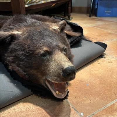 Sale Photo Thumbnail #6