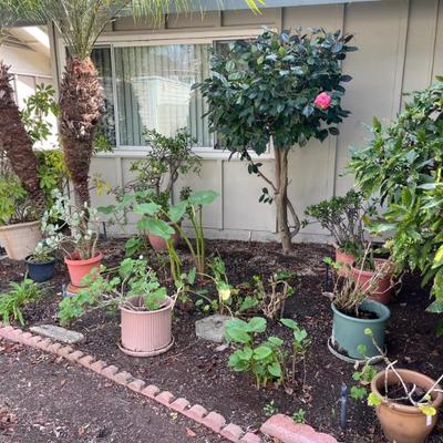 Sale Photo Thumbnail #137