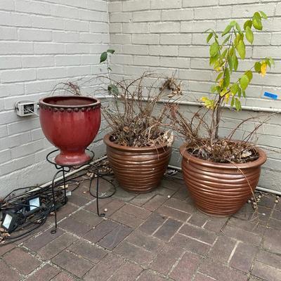 BP142 It’s Time To Plant!