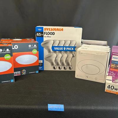 BP139 Various Ceiling Lights And Bulbs 