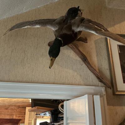 Sale Photo Thumbnail #136