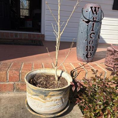 Sale Photo Thumbnail #419