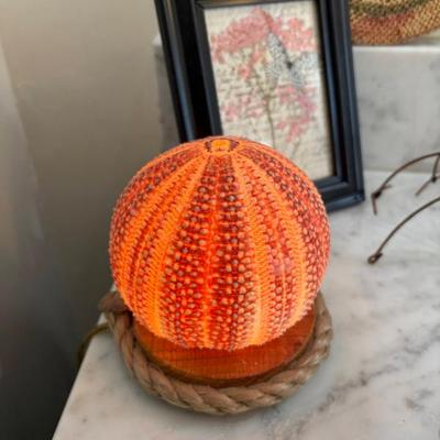 Sale Photo Thumbnail #580