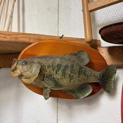 Sale Photo Thumbnail #203