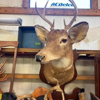 Sale Photo Thumbnail #15