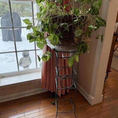 Sale Photo Thumbnail #136