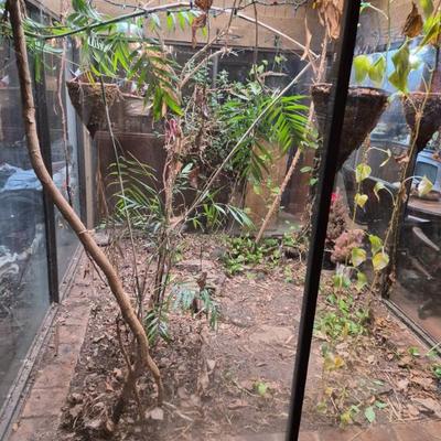 Sale Photo Thumbnail #5