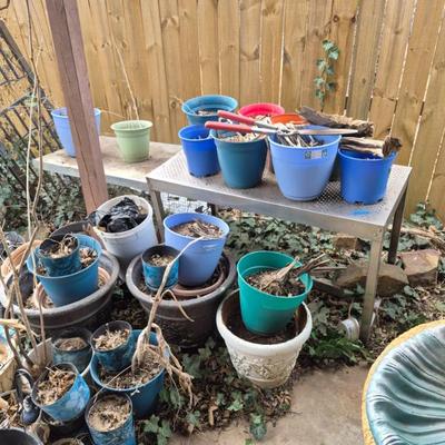 Sale Photo Thumbnail #137