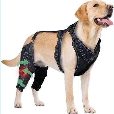 Sale Photo Thumbnail #40