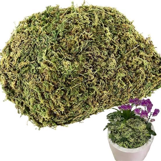 Sale Photo Thumbnail #265