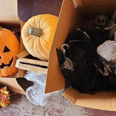 Halloween Outdoor & Indoor Decorations - Hanging Skeletons, Light Up Pumpkins, Wreaths, Mini Pumpkin