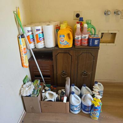 Laundry And Cleaning Supplies - Bleach, Laundry Soap, Paper Towels, Sponges