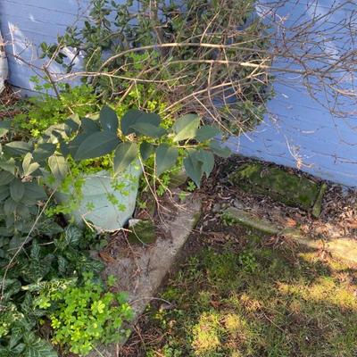 Sale Photo Thumbnail #9