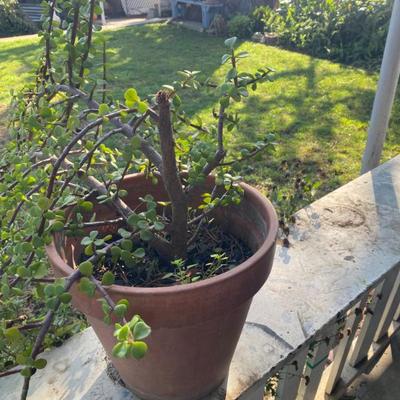 Sale Photo Thumbnail #17