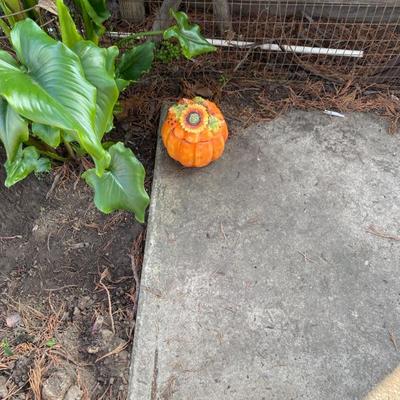 Sale Photo Thumbnail #11