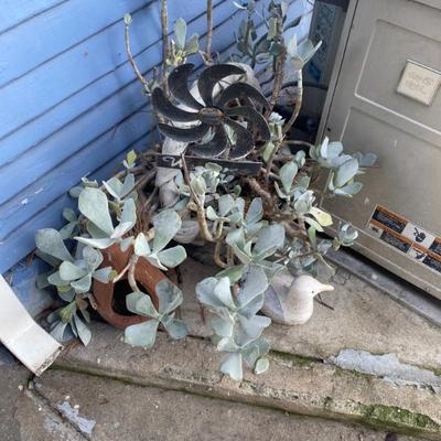 Sale Photo Thumbnail #16