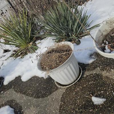 Sale Photo Thumbnail #4