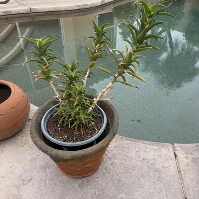 Sale Photo Thumbnail #161