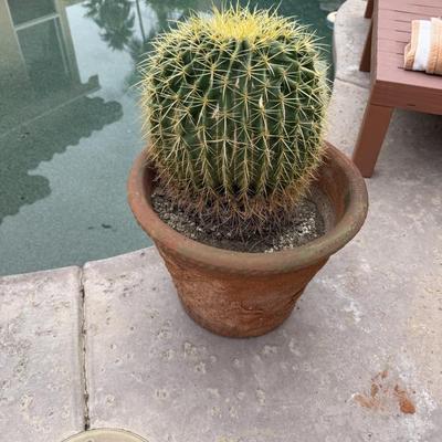 Sale Photo Thumbnail #160