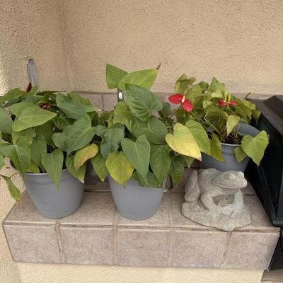 Sale Photo Thumbnail #154