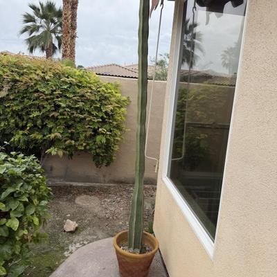 Sale Photo Thumbnail #149