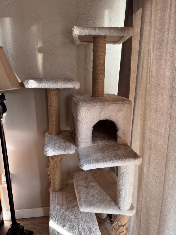 Sale Photo Thumbnail #10