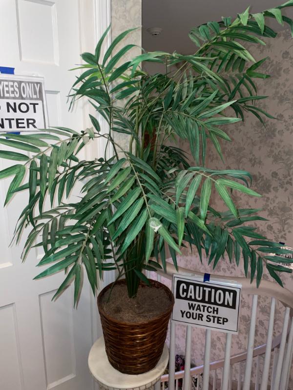 Sale Photo Thumbnail #365