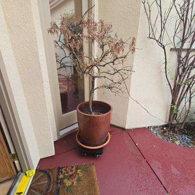 Sale Photo Thumbnail #147