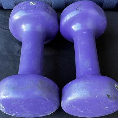 Pair of Purple Vinyl Dumbbells – Home Fitness Weights