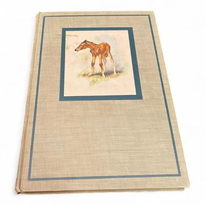 Sale Photo Thumbnail #150