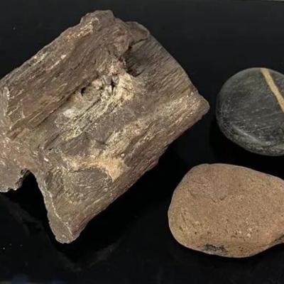 Petrified Wood, Artifact and Banded Stone