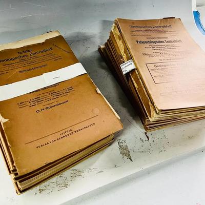 Palaeontological Abstracts (43) 