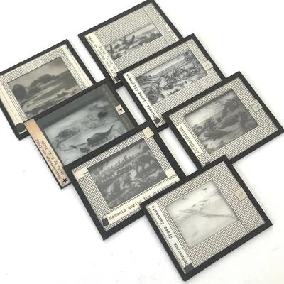 Vintage Lantern Slides (7) of Jurassic, Pleistocene and Ordovician Creatures 