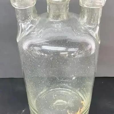 Antique Woulff Chemist Bottle