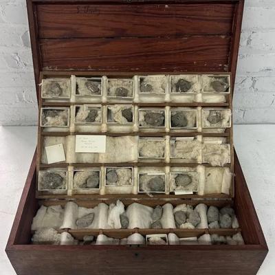 Antique 3 Tier Specimen Box W/ Pumice Samples