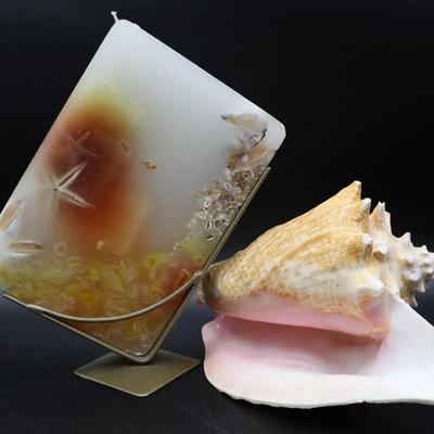 Large Conch Shell & Seashell Candle with Candle Holder